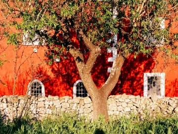 Masseria Cupina  - Casa de vacaciones in Ostuni, Apulia