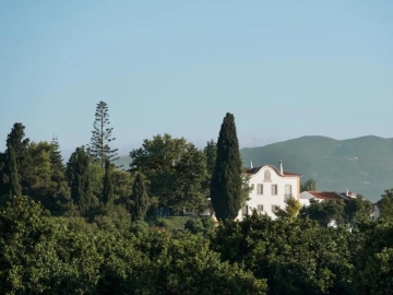 Quinta da Donalda  - Casas de vacaciones in Portimão, Algarve