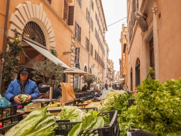 Fabbrini Bocca Di Leone - B&B in Roma, Roma