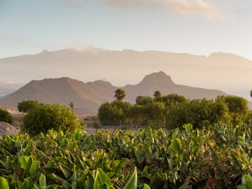 Villa El Mato - Casa de vacaciones in Guaza, Islas Canarias