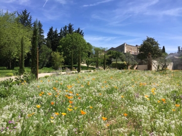 Domaine Les Martins - Hotel Rural in Gordes, Provenza y Costa Azul