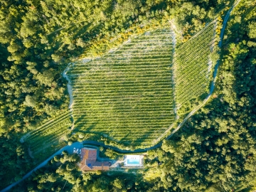 Villa San Lorenzo - Casa de vacaciones in Bonvicino, Piamonte