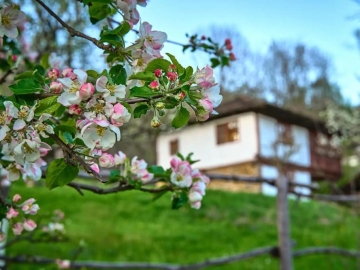 Karashka - Casa de vacaciones in Selishte, Centro Norte Bulgaria