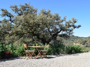 Finca Bravo - Casas de vacaciones in Cortegana, Huelva