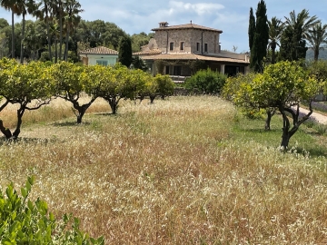 Finca El Nido - Casa de vacaciones in Pollença, Mallorca