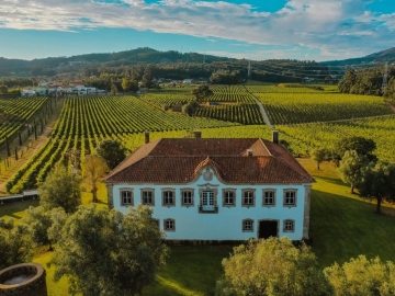 Terra Rosa Country House & Vineyards - Hotel de diseño in Ponte de Lima, Norte de Portugal