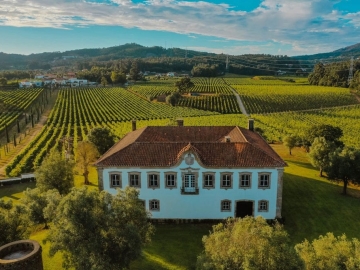 Terra Rosa Country House & Vineyards - Hotel de diseño in Ponte de Lima, Douro & Norte Portugal