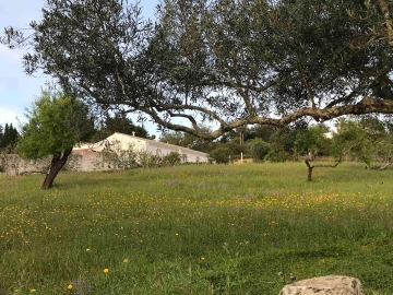 O Monte - Casa de vacaciones in São Brás de Alportel, Algarve