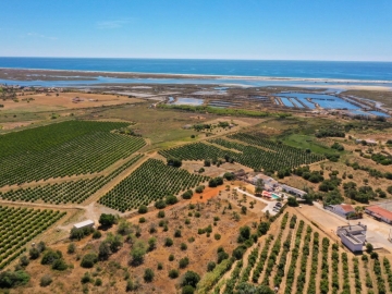 Casa Ciconia - Casa de playa in Fuseta, Algarve