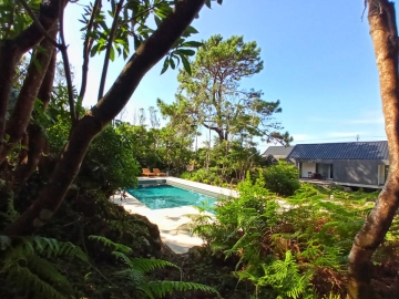 Casas do Morgadio - Casas de vacaciones in Biscoitos, Azores