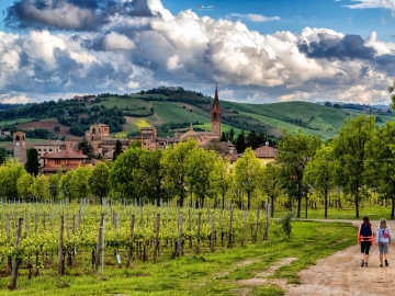 Locanda del Feudo - Hotel Boutique in Castelvetro, Emilia Romana