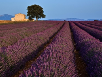 La Maison des Collines - B&B in Allemagne en Provence, Provenza y Costa Azul