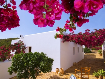 Can Curreu - Hotel de lujo in Santa Eulàlia, Ibiza