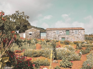 Adegas do Pico - Casitas con encanto in S. Roque do Pico, Azores