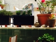 Ses Sucreres Menorca Hotel b&b boutique