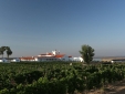 Torre de Palma Wine Hotel boutique design en alentejo con encanto