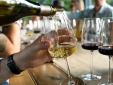 Holden Manz best Luxury Wine estate South Africa Cape Twon Fraenschoeck Secretplaces