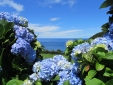 Casa Con Encanto Monte Branco Azores Isla de Pico