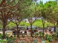 Praia Verde Boutique Hotel hotel de diseño de lujo en algarve cerca de la playa con encanto