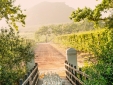Luxurious and authentic Wellness oasis Babylonstoren in South Africa.