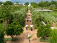 babylonstoren wine estate hotel