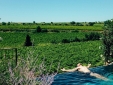 Château St Pierre de Serjac best luxury self catering apartments france secretplaces boutique hotels
