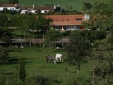 Herdade da Matinha Vila nova de Mil Vontes con encanto boutique design costa v