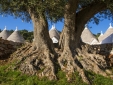 Hotel Borgo Canonico Puglia b&b design con encanto romantico