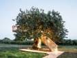 Conversas de Alpendre Hotel Treehouse Portugal Algarve Secretplaces