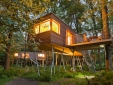 tree resort in germany hotel