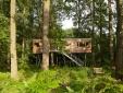 tree resort germany