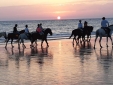 Trafalgar Polo Club Vejer de la frontera arohaz hotel b&b