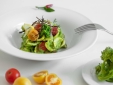 Masseria Mongio Dell`Elefante Italy best gourmet boutique hotel secretplaces 