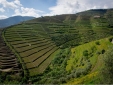 Quinta da Corte Bed & Breakfast Douro Valley Portugal 