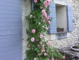 Domaine Les Martins