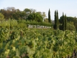 Sign and vineyard