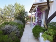 Luxury guesthouse the Dutch