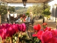 Le Dimore Mezza Costa, Toscana, Italia, Hotel con encanto, ambiente rural