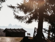 Freiform pensión con encanto casa privada naturaleza los Alpes Tirol