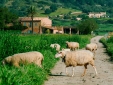 Finca es Mayolet b&b Hotel Mallorca boutique country side