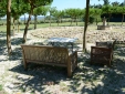 tranquillite