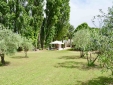 Garden Oliviers