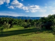 Garden with Luberon