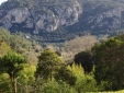 Hotel Rural con Encanto Mallorca