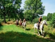 Horse riding