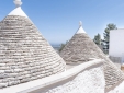 Roof exterior view