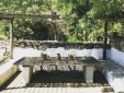 Poolside seats