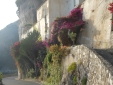 The Convent