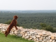 Lama di Luna boutique design hotel en puglia jardin con encanto