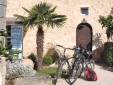A bike tour?